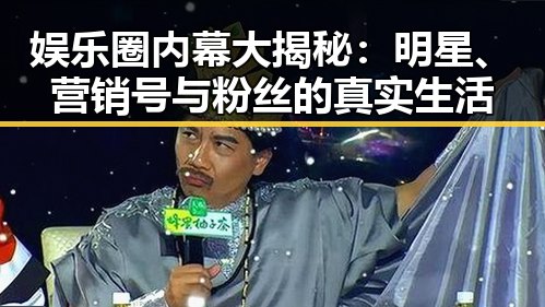 娱乐圈内幕大揭秘：明星、营销号与粉丝的真实生活