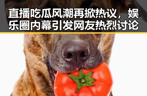 直播吃瓜风潮再掀热议,娱乐圈内幕引发网友热烈讨论
